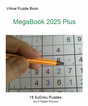 Megabook 2025 Plus